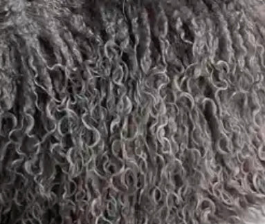 POMPAS Slide/Bag Set (Pre order)