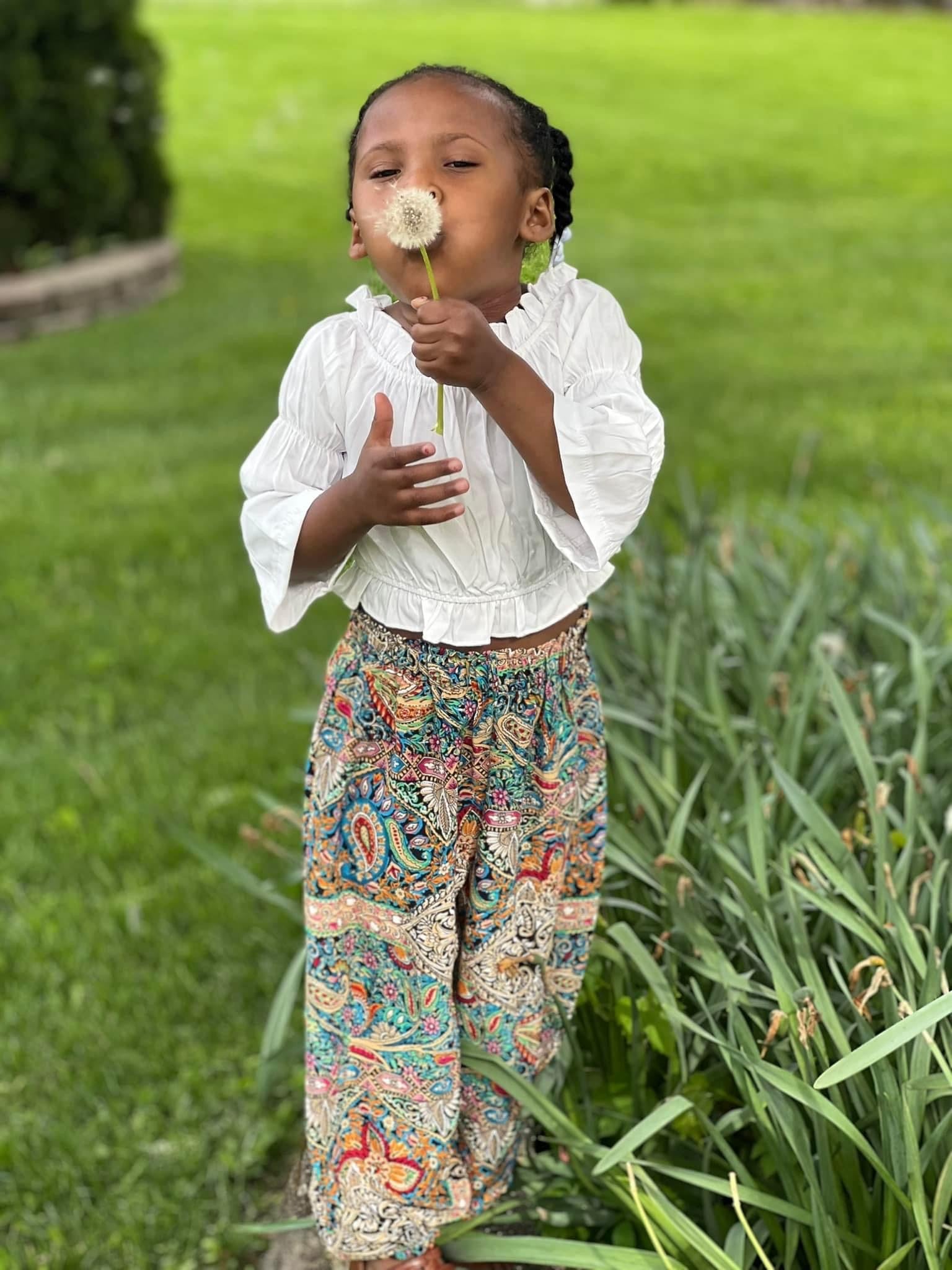 【ついに再販開始！】 Paisley balloon pants – The Oh So Low Show トップス